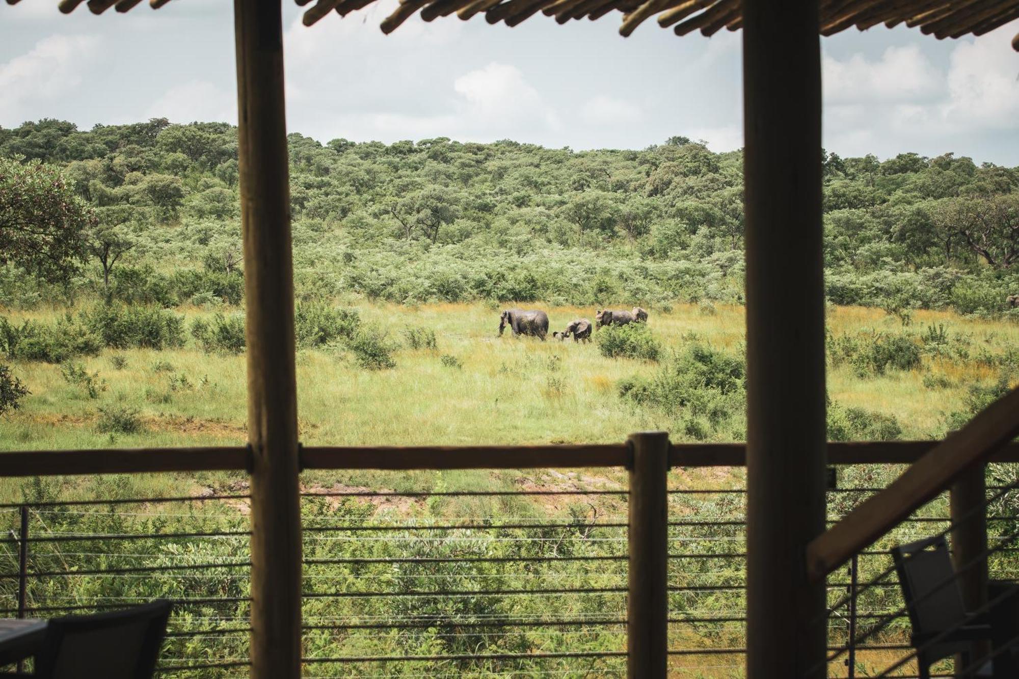 Mdluli Safari Lodge Hazyview Zewnętrze zdjęcie